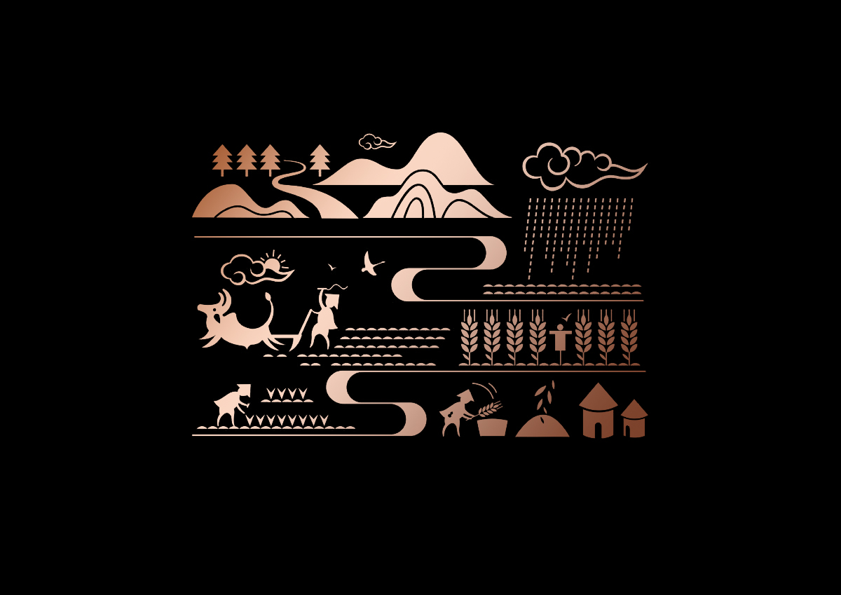 大米包裝設(shè)計,長春大米包裝設(shè)計