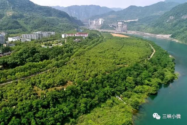 清江在30年水電開發(fā)過程中，堅(jiān)持把生態(tài)保護(hù)放在首位，在開發(fā)中保護(hù)，在保護(hù)中開發(fā)，讓青山常在、綠水長(zhǎng)流，創(chuàng)造了生態(tài)發(fā)展的良性循環(huán)模式，為長(zhǎng)江大保護(hù)提供了可資借鑒的經(jīng)驗(yàn)。“經(jīng)過30年的水電開發(fā)，清江流域仍群山蒼翠、漫江碧透，堪稱奇跡！”8月初，年過七旬的省委決策支持顧問、省社科院原副院長(zhǎng)陳文科來到清江邊，面對(duì)如畫美景，由衷感慨