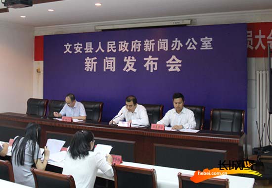 “我們先后委托麥肯錫、羅蘭貝格等國(guó)際一流咨詢公司，對(duì)文安的區(qū)位、產(chǎn)業(yè)等方面內(nèi)容進(jìn)行深入調(diào)研后，確定了以高端裝備制造、汽車及零部件、新材料、工業(yè)電商為主導(dǎo)方向的‘3+1’產(chǎn)業(yè)發(fā)展體系。”9月4日，在文安智能電網(wǎng)產(chǎn)業(yè)園，該產(chǎn)業(yè)園副主任王峰告訴記者，在空間布局上，園區(qū)秉承“一核、兩軸、兩廊、四園”的發(fā)展布局，即：新城商務(wù)核心；城市發(fā)展軸、新城景觀軸；濱水景觀生態(tài)廊道、綠地景觀生態(tài)廊道；高效節(jié)能產(chǎn)業(yè)園、智能電網(wǎng)產(chǎn)業(yè)園、新材料產(chǎn)業(yè)園、汽車及零部