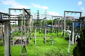 
                
	
                    
	1月23日凌晨，河北院設(shè)計(jì)的成峰500千伏新建變電站站內(nèi)500千伏側(cè)設(shè)備順利投運(yùn)，這標(biāo)志著成峰500千伏新建智能變電站第二個(gè)投運(yùn)階段圓滿成功。

	

	作為邯鄲地區(qū)重要的電源支撐點(diǎn)，成峰500千伏智能變電站是河北南網(wǎng)強(qiáng)化500千伏主網(wǎng)結(jié)構(gòu)的重要工程，該站500千伏側(cè)設(shè)備的順利投運(yùn)，對進(jìn)一步加強(qiáng)華北電網(wǎng)網(wǎng)架結(jié)構(gòu)，構(gòu)建統(tǒng)一堅(jiān)強(qiáng)智能電網(wǎng)，有效緩解邯鄲地區(qū)電力需求緊張局面，推動當(dāng)?shù)亟?jīng)濟(jì)發(fā)展具有重要意義