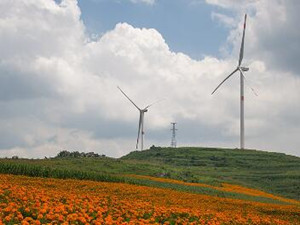 
                
	
                    
	近日，河津市政府與山西國昶新能源有限公司簽約風(fēng)電項目。山西國昶新能源有限公司是一家專業(yè)從事風(fēng)電站、光伏電站、煤層氣電站的投資、建設(shè)、技術(shù)開發(fā)及咨詢的公司，同時開展合同能源管理服務(wù)以及提供節(jié)能環(huán)保工程的設(shè)計、施工及技術(shù)服務(wù)