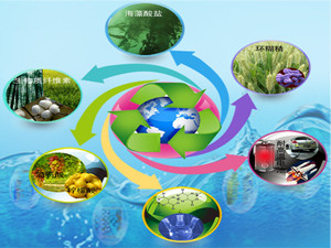
                
	
                    
	日前，位于河南南都新區(qū)的由溫商企業(yè)德長環(huán)?？萍加邢薰究偼顿Y3.5億元的南陽生物質(zhì)發(fā)電項目正式啟動。

	

	據(jù)悉，南陽生物質(zhì)發(fā)電項目每年處置秸稈類廢棄物23萬噸，年發(fā)電量2.16億度，發(fā)電裝機30MW