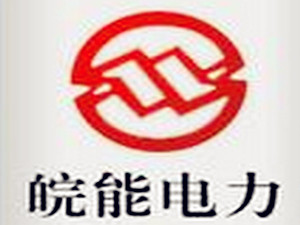 
                
	
                    
	近日，皖能電力披露，公司擬發(fā)行可轉(zhuǎn)債募集資金不超過40億元（含40億元），扣除發(fā)行及相關(guān)費(fèi)用后的募集資金凈額全部用于收購(gòu)?fù)钅芗瘓F(tuán)所持有的神皖能源49%股權(quán)。該部分股權(quán)的預(yù)估投資總額為45.99億元，差額部分皖能電力將通過自籌資金解決